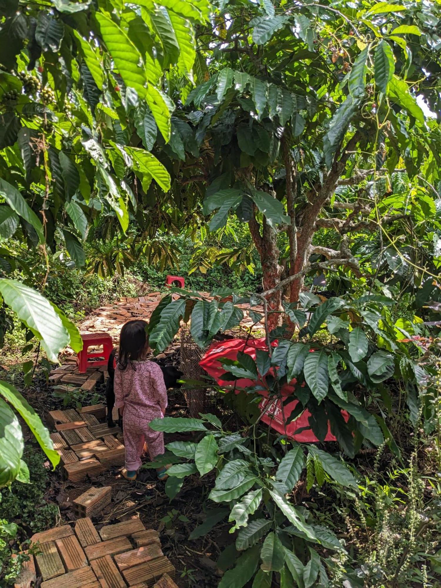 Ferienwohnung Ivy Coffee Farm - Garden House Duc Trong Exterior foto