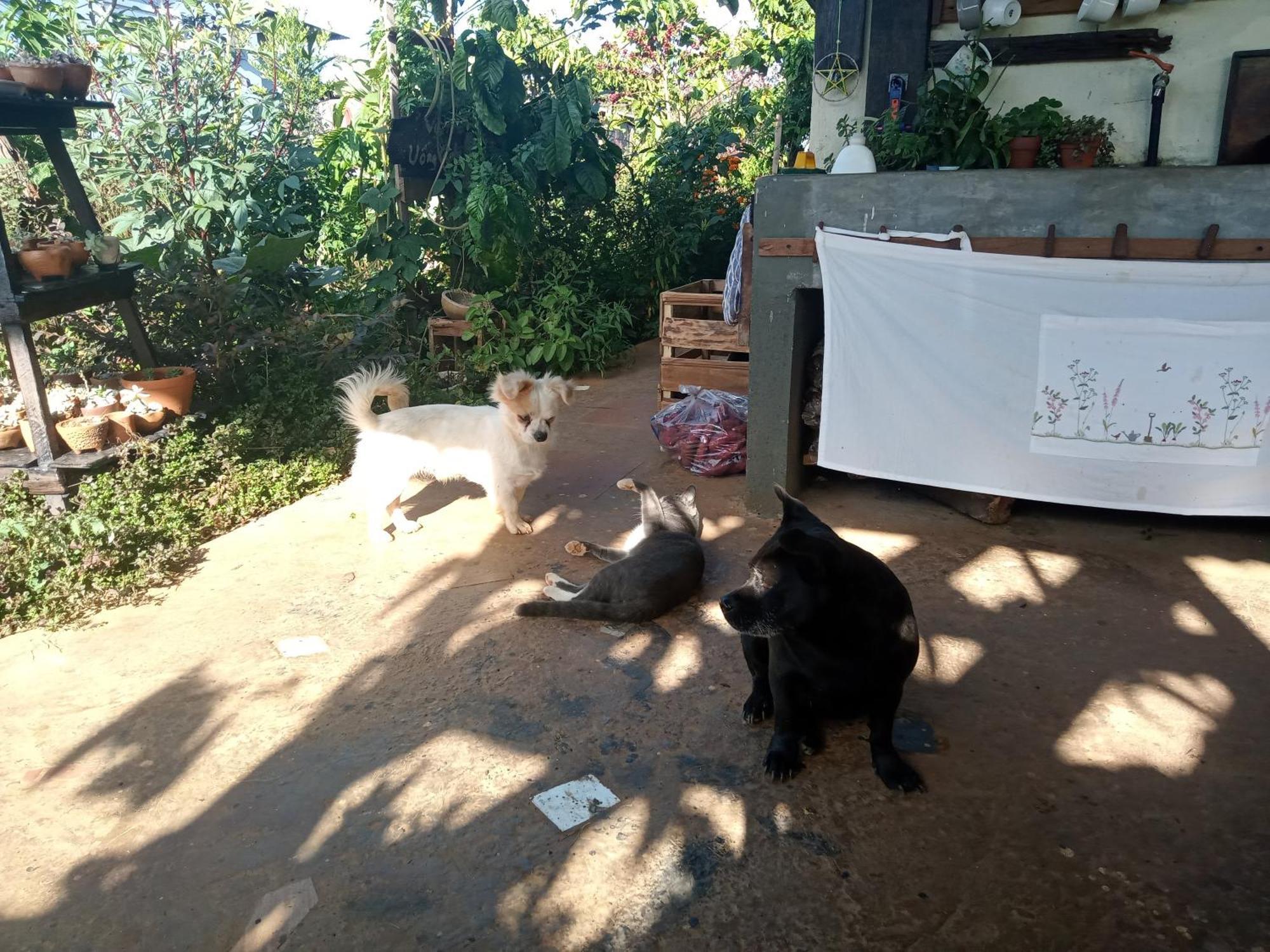 Ferienwohnung Ivy Coffee Farm - Garden House Duc Trong Exterior foto
