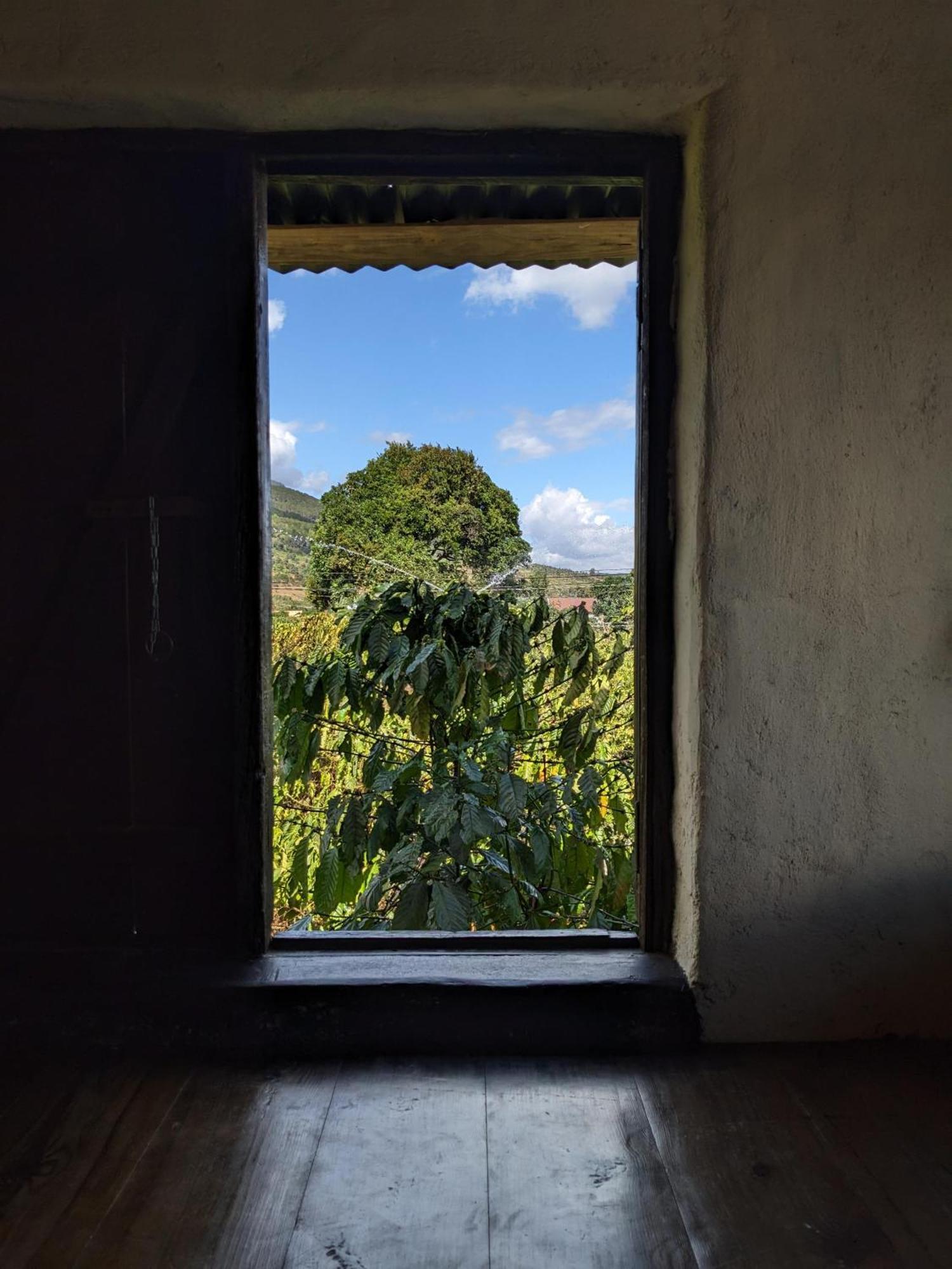 Ferienwohnung Ivy Coffee Farm - Garden House Duc Trong Exterior foto