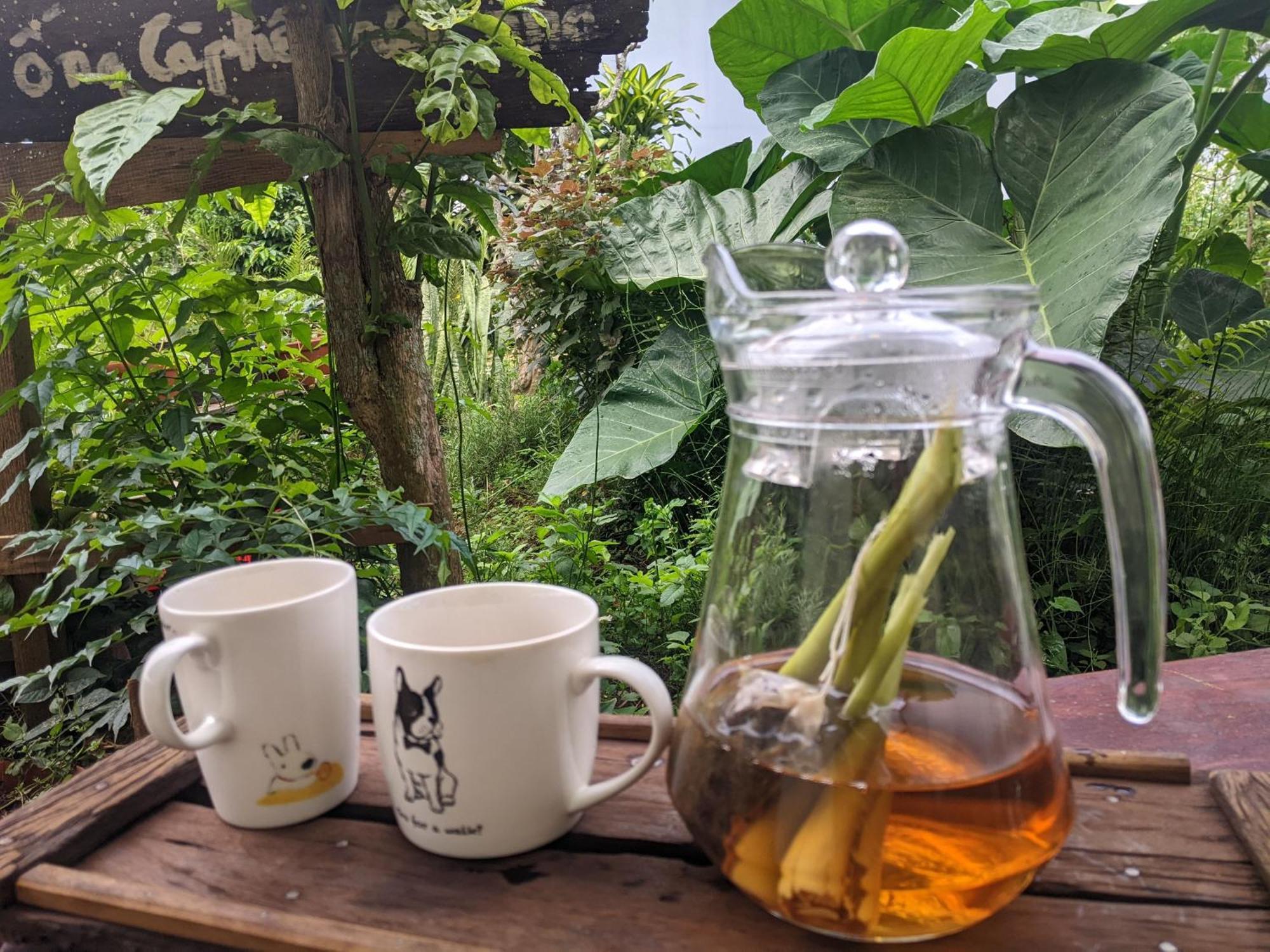 Ferienwohnung Ivy Coffee Farm - Garden House Duc Trong Exterior foto