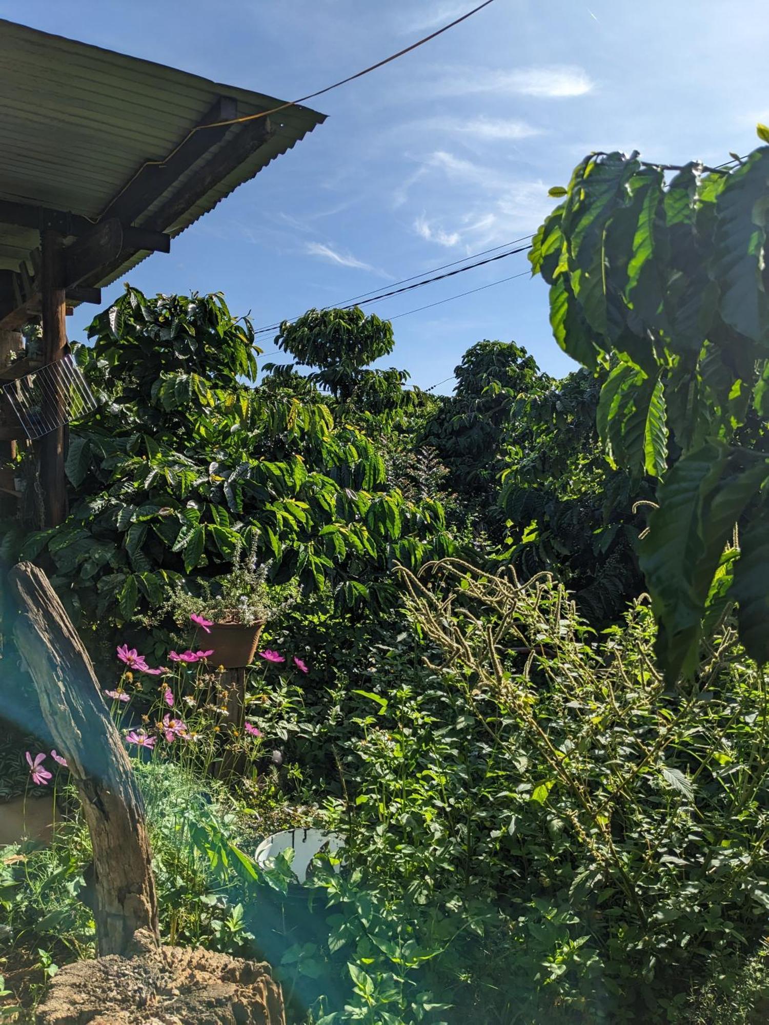 Ferienwohnung Ivy Coffee Farm - Garden House Duc Trong Exterior foto